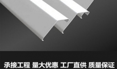 掛片